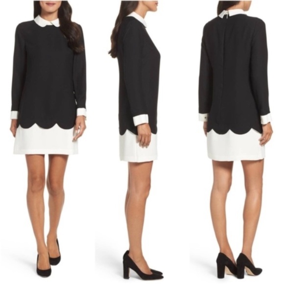 CeCe | Jada Scalloped Overlay Collared Shift Dress | Black White | size 8 - Picture 16 of 16